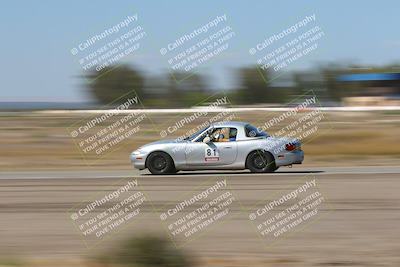 media/Oct-04-2025-OnGrid (Sat) [[44bd565ffa]]/Pink Group/Grapevine/